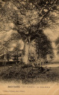 Bretagne. Pontivy. Le Gros-Chêne. 19 PontivyGuéranne[ca 1910 ]