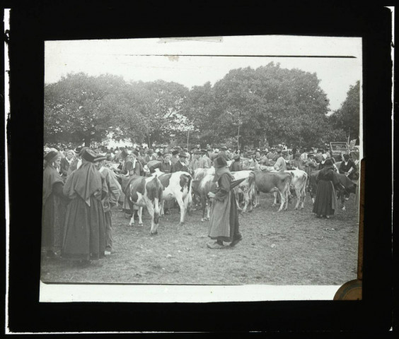 [Silfiac. Foire de Saint-Laurent le 10 août : au premier plan, les marchands de vaches] / [cliché de Joseph Bellec].
[ca 1905]