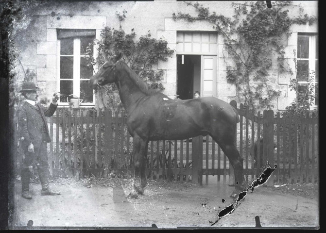chevaux dans les campagne et la rue Caïnin.